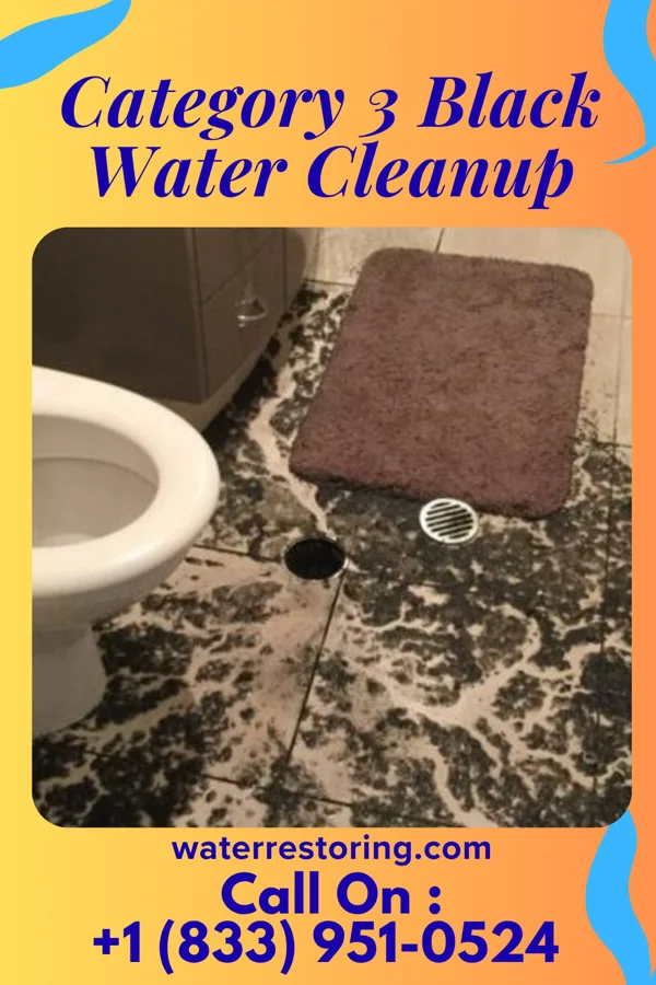 Category 3 Black Water Cleanup in Atwood, IL